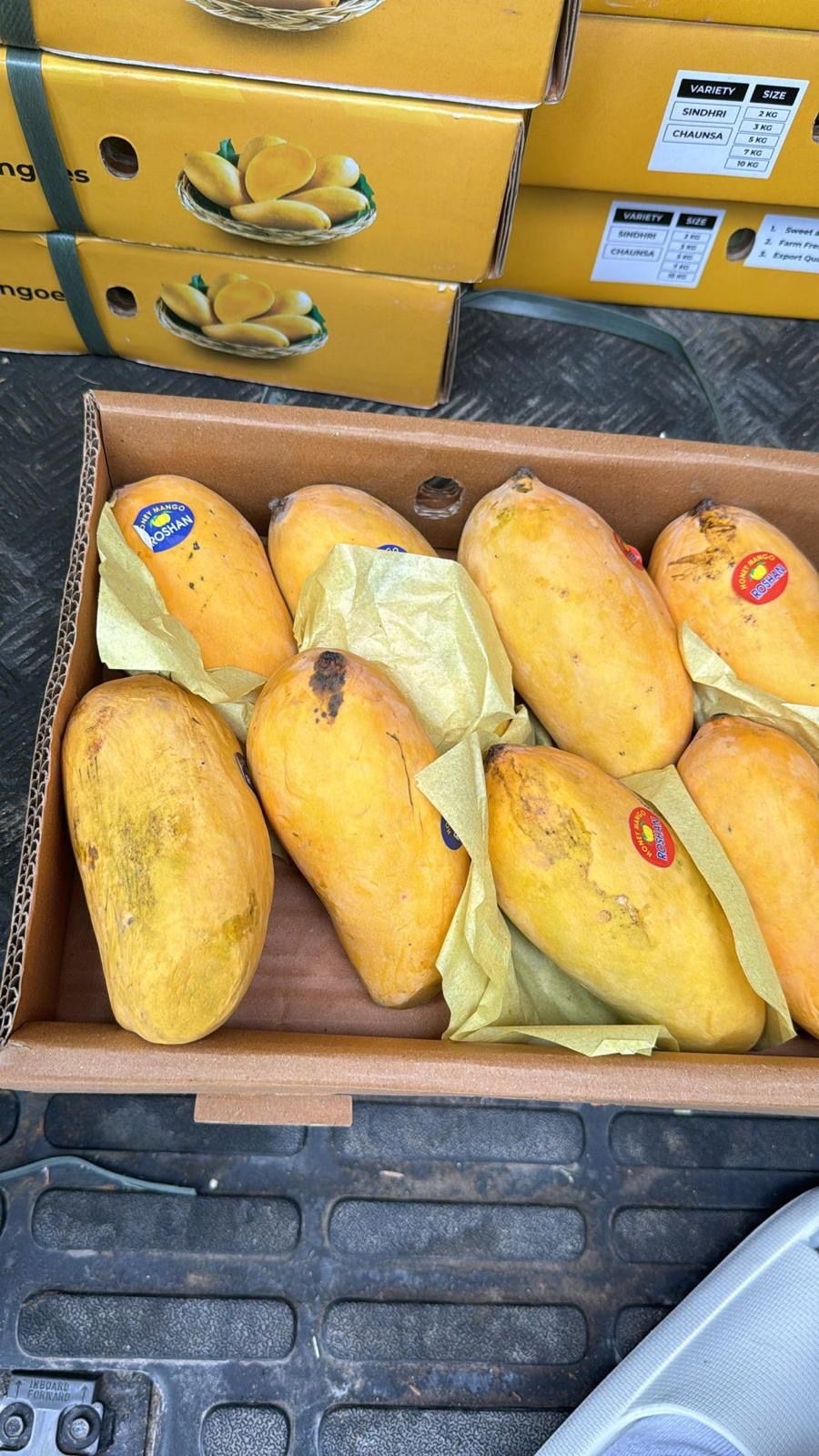 Mango farm